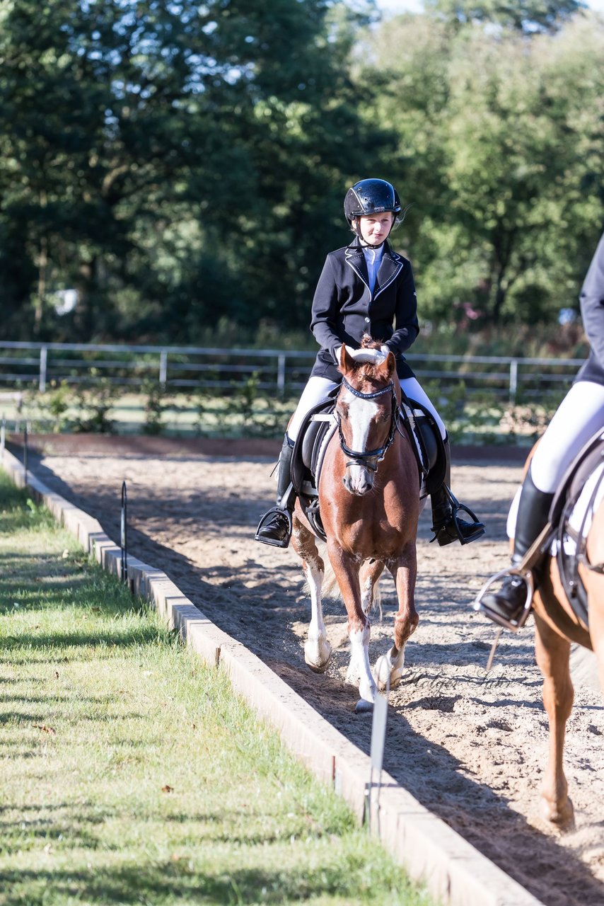 Bild 16 - Pony Akademie Turnier